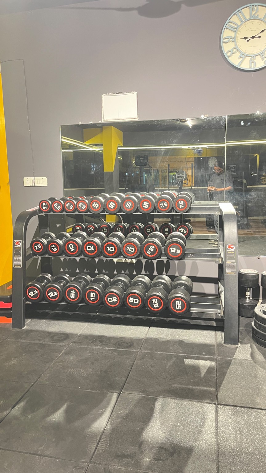 Aureus Fitness dumbbells